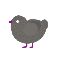 Gr gr plu, a grey chicken with a lace pattern
