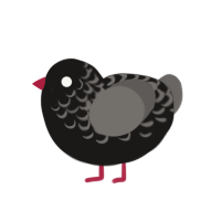 (unnamed), a sable and grey chicken with a half-lace pattern