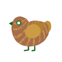 Tropical, a brown and gold chicken with a bar pattern