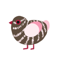 Chaene, a bark and rose chicken with a bar pattern