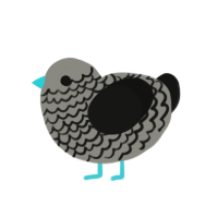 (unnamed), a ash and black chicken with a lace pattern