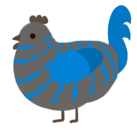 A grey and sapphire chicken with a bar pattern
