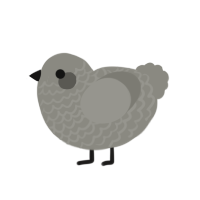 A ash chicken with a lace pattern