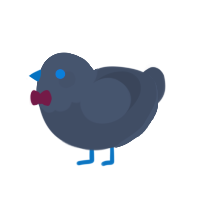 peacemaker, a grey chicken with a head pattern