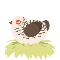 Latte, a cream and bark chicken with a half-lace pattern