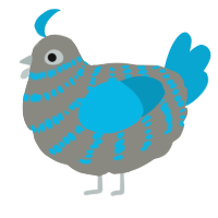 A ash and cerulean chicken with a bar pattern