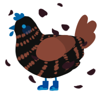 A black and russet chicken with a bar pattern