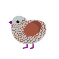 Little Layer Cake, a silver and russet chicken with a lace pattern