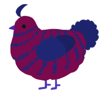 Blueberry Chia Jam, a wine and navy chicken with a bar pattern