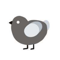 Ghost, a grey and mist chicken