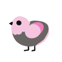 Ena, a grey and pink chicken with a head pattern