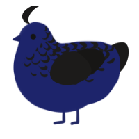 GetInto Hypnosis Mic, a navy and sable chicken with a half-lace pattern