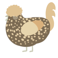 pebble, a grey and beige chicken with a speckle pattern