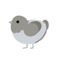 (unnamed), a mist and ash chicken with a head pattern