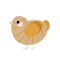 (unnamed), a beige and orange chicken with a bar pattern