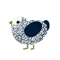 Maraña orphan, a white and tumblr chicken with a double-lace pattern