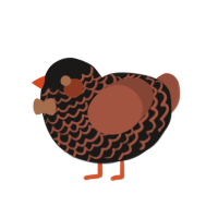 Razeirl, a sable and russet chicken with a lace pattern