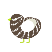 (unnamed), a bark and white chicken with a bar pattern