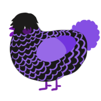 Blurple, a sable and blurple chicken with a lace pattern