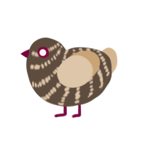 (unnamed), a bark and beige chicken with a bar pattern