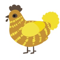 adam, a gold and yellow chicken with a bar pattern