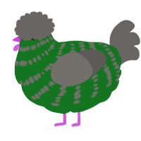 silkie, a leaf and grey chicken with a bar pattern