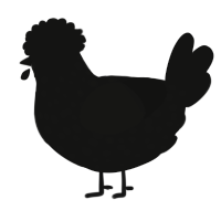 Quintessa, a black chicken with a speckle pattern