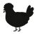 A black chicken with a speckle pattern