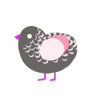 evil pigeon, a grey and rose chicken with a half-lace pattern