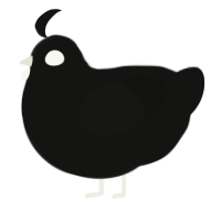 Louie, a black chicken
