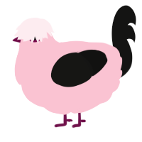 (unnamed), a rose and black chicken