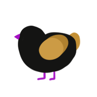(unnamed), a black and gold chicken
