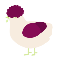 A cream and wine chicken