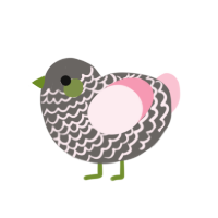 (unnamed), a grey and rose chicken with a lace pattern
