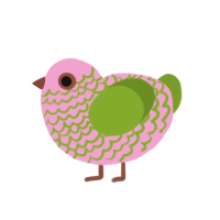 Caladium, a pink and chartreuse chicken with a lace pattern