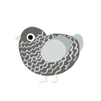 (unnamed), a grey and silver chicken with a lace pattern