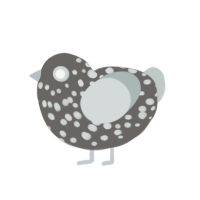 Stone, a grey and silver chicken with a speckle pattern