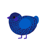 zz, a navy and ultramarine chicken with a lace pattern