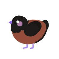 (unnamed), a russet and sable chicken with a head pattern
