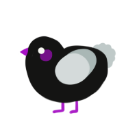 (unnamed), a black and silver chicken