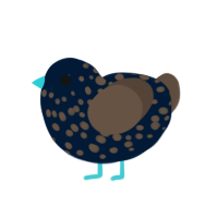 (unnamed), a tumblr and bark chicken with a speckle pattern