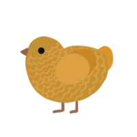 (unnamed), a gold and orange chicken with a lace pattern