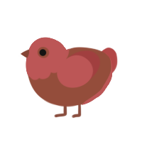 Faded Apple, a russet and red chicken with a head pattern