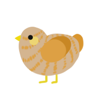 Butter, a beige and orange chicken with a bar pattern