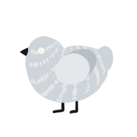 (unnamed), a mist chicken with a bar pattern