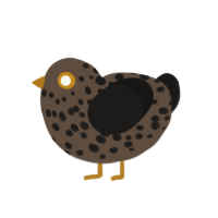 (unnamed), a bark and sable chicken with a speckle pattern