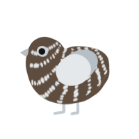 (unnamed), a bark and mist chicken with a bar pattern