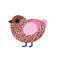 Mocha, a russet and pink chicken with a lace pattern