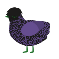 (unnamed), a sable and overcast chicken with a double-lace pattern