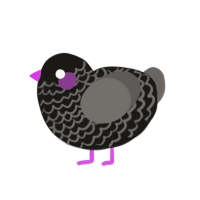 (unnamed), a sable and grey chicken with a lace pattern